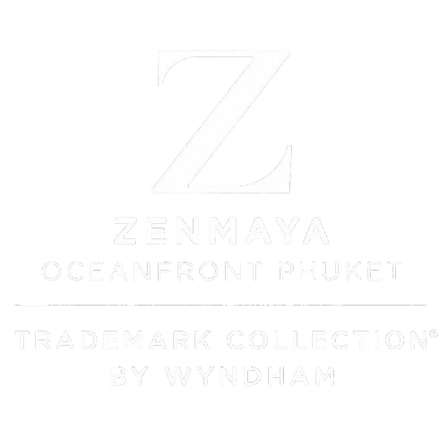 img 9304 removebg preview